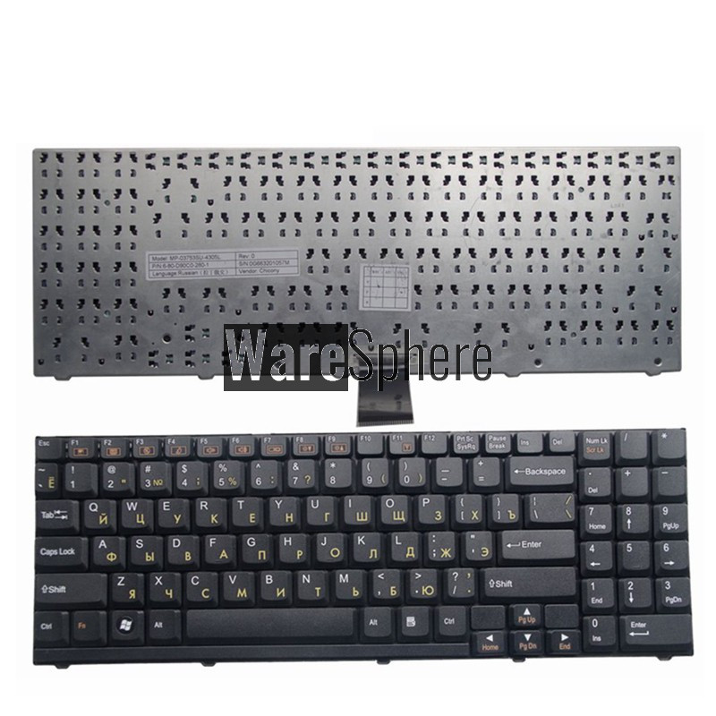 new Russian Keyboard for CLEVO D900 D27 D470 M590 D70 BLACK RU keyboard 